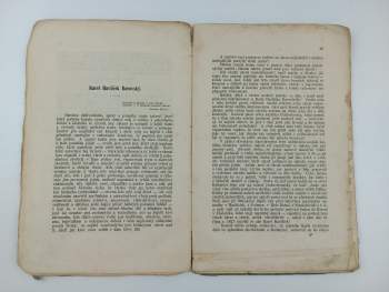 Karel Havlíček Borovský: Na památku Karla Havlíčka a slavnosti borovské dne 19. srpna roku 1862