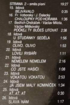 Svatebčanka: Na Pijácke Rychtě 3