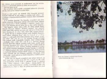 Vojtěch Zamarovský: Na počátku byl Sumer