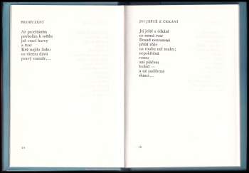 Markéta Procházková: Na prahu lásky