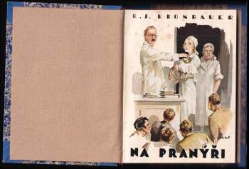 Rudolf Jaroslav Kronbauer: Na pranýři