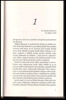 Rexanne Becnel: Na první pohled