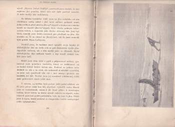 Fridtjof Nansen: Na Severní Točnu