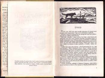 Pavel Leonardovič Daleckij: Na sopkách Mandžurie