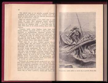 Karl May: Na Tichém oceánu