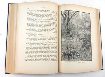 Jules Verne: Na vlnách Orinoka
