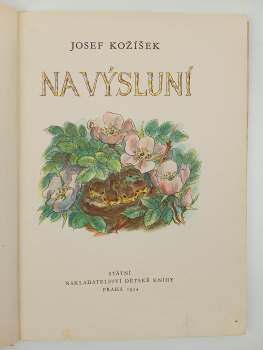 Josef Kožíšek: Na výsluní