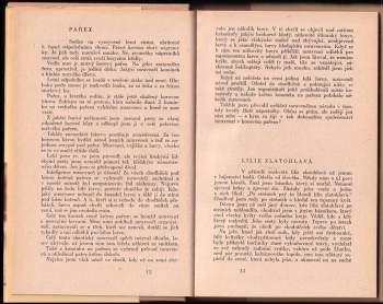 Vladimír Binar: Na vzdušné pěšince