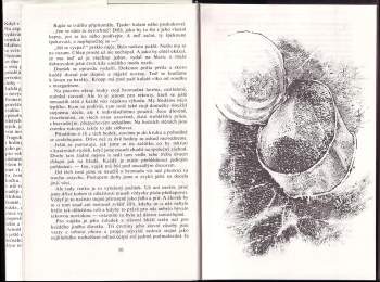 Erich Maria Remarque: Na západní frontě klid ; Cesta zpátky