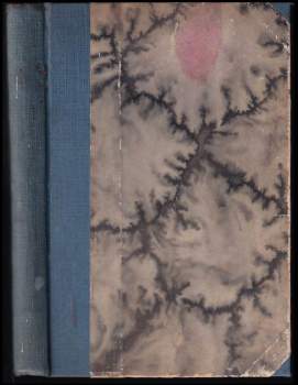 Erich Maria Remarque: Na západní frontě klid