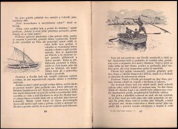 František Flos: Nad Tichým oceánem