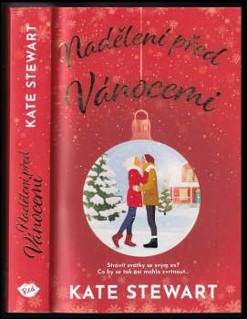 Kate Stewart: Nadělení před Vánocemi