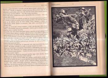 Jules Verne: Nádherné Orinoco