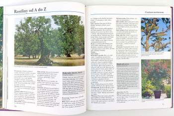 Maria Sansoni-Köchel: Nádobové rostliny