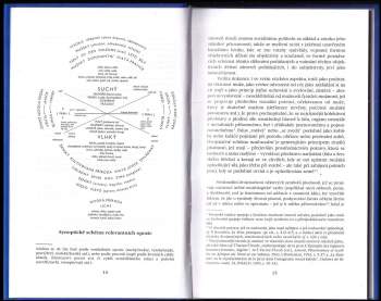 Pierre Bourdieu: Nadvláda mužů