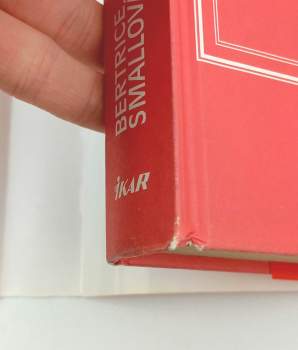 Bertrice Small: Nájdenie stratenej lásky