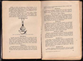 Milada Benešová: Nakládání, zavařování a používání všeho ovoce i zeleniny--