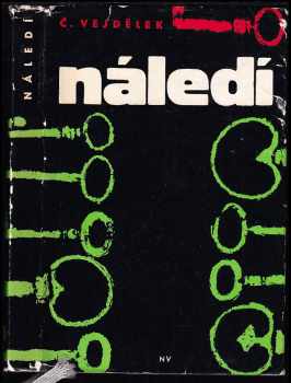 Náledí