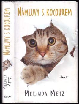 Námluvy s kocourem