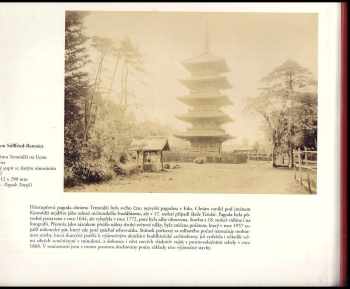 Filip Suchomel: Námořní deník Erwina Dubského