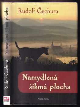 Namydlená šikmá plocha