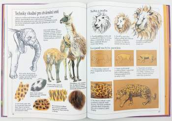 Fiona Watt: Nápady pro malé výtvarníky