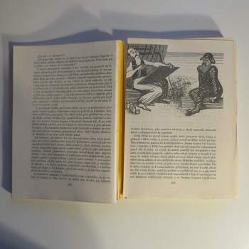 Radu Tudoran: Napněte všechny plachty!