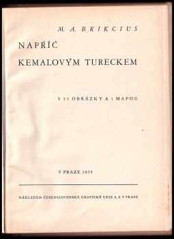 Mohamed Abdallah-hadži Brikcius: Napříč Kemalovým Tureckem