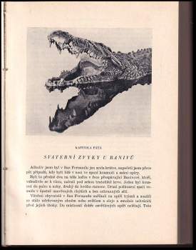 Enrique Stanko Vráz: Za poklady El Dorada