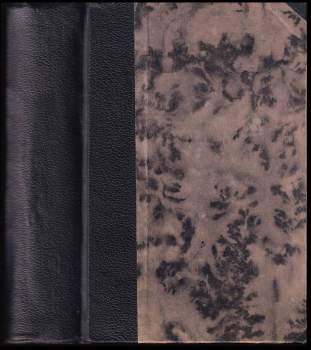 Karel Havlíček Borovský: Národní noviny (1848-1850)