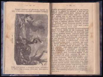 Servác Heller: Národové jižní Afriky