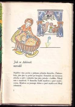 Anna Malinská: Náš Adámek