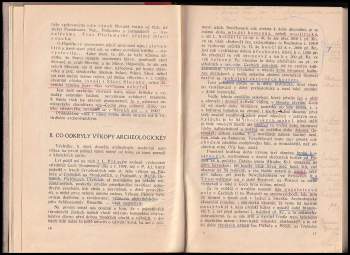 Karel Čvančara: Selská svatba česká