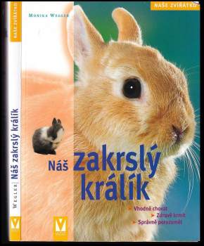 Náš zakrslý králík