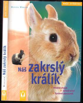 Náš zakrslý králík