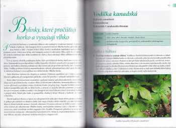 Thomas Avery Garran: Naše bylinky v tradiční čínské medicíně