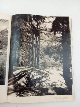 Vilém Heckel: Naše hory