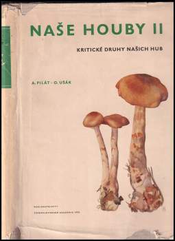 Naše houby