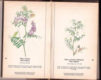 Miloš Deyl: Naše květiny