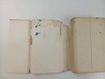 Miloš Deyl: Naše květiny