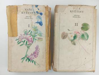 Miloš Deyl: Naše květiny