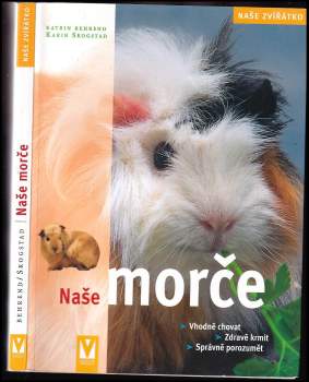Naše morče