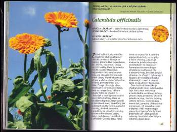 Dionýz Dugas: Naše nejlepší bylinky