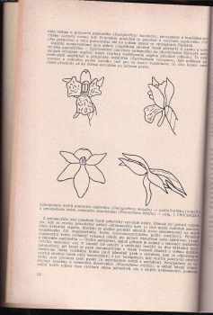 František Procházka: Naše orchideje