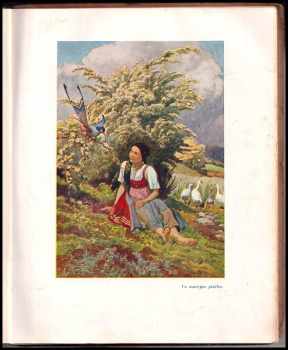 Jindřich Šimon Baar: Náše pohádky