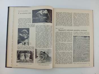 Naše Praha, KOMPLETNÍ ROČNÍK 1939