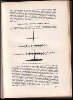 Jan Josef Těšitel: Naše rodinné zahrady