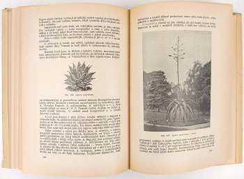 Jan Josef Těšitel: Naše rodinné zahrady