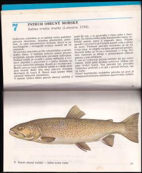 František Reiser: Naše ryby