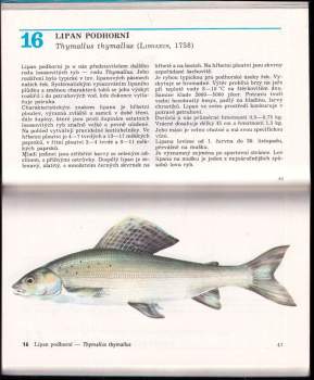 František Reiser: Naše ryby